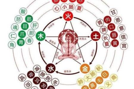 十三行八字