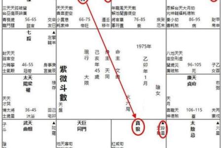 紫微斗数诸星落诸宫之：廉贞星子女宫详解