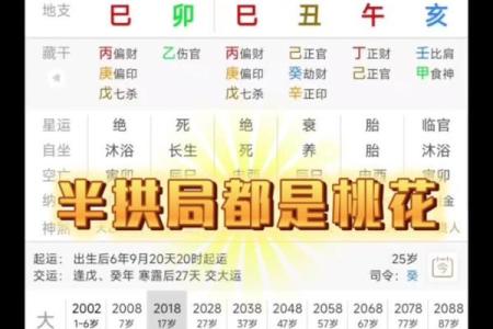 【八字背禄逐马】解析与应对技巧