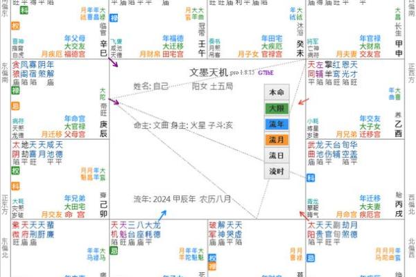紫微斗数之:论疾厄 紫微斗数之:论疾厄