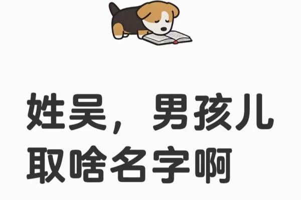 宝宝起名吴姓名测试