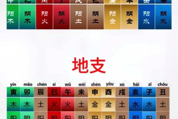 八字地支全是水的命理分析