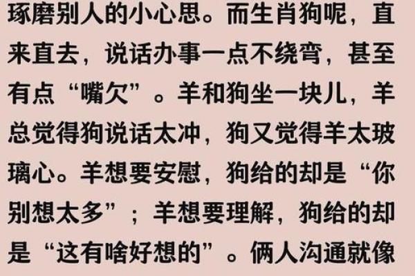 属羊.八字