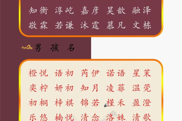 晚上10点出生的属蛇男孩要如何起名，宜用什么字姓名