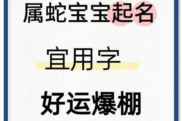 晚上10点出生的属蛇男孩要如何起名，宜用什么字姓名
