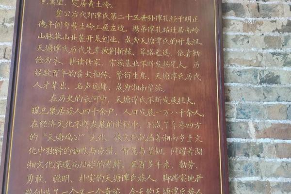 姓谭的名人-姓名学-华易算命网姓名