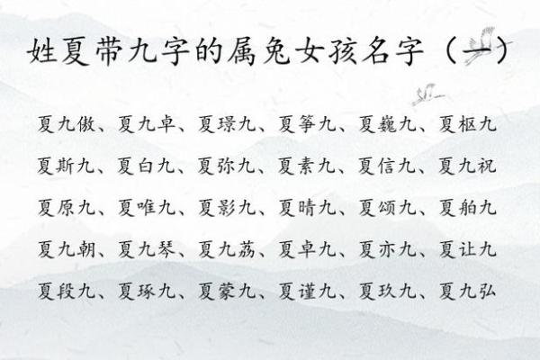 2月份出生的属兔女孩起什么名字好姓名