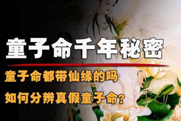 童子命看八字  原来童子命的八字竟有如此的奥妙