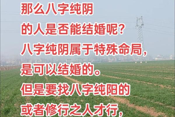 男纯阴八字
