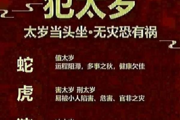 此人运气爆棚，爷爷在看到他的生辰八字后决定：他就是未来的皇帝