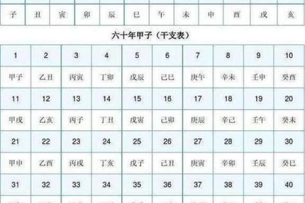 八字寅是什么意思,寅在八字中代表什么