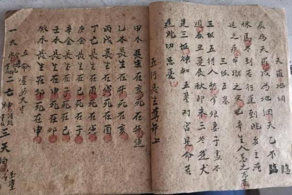 长寿密码八字诀