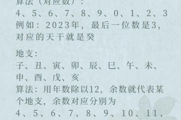 起名中的生辰八字之年柱