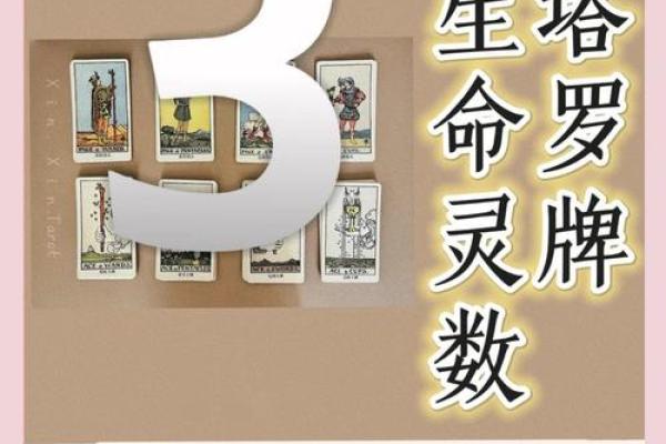 什么是生命灵数测试