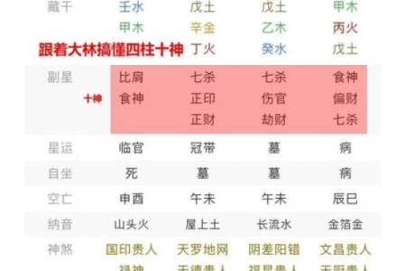 四柱八字预测入门，四柱八字入门详解