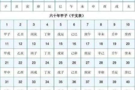 生辰八字阳日