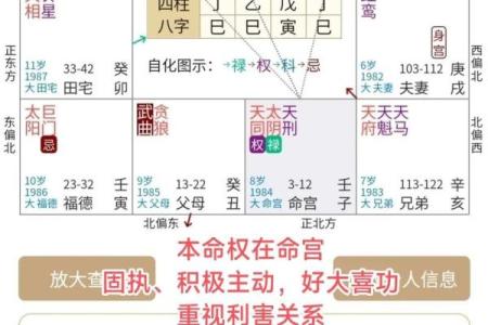 紫微斗数之：看命程序