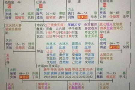 紫薇斗数子女成就