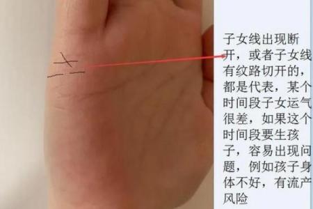 生辰八字测有几个子女 子女线能看出与孩子的关系