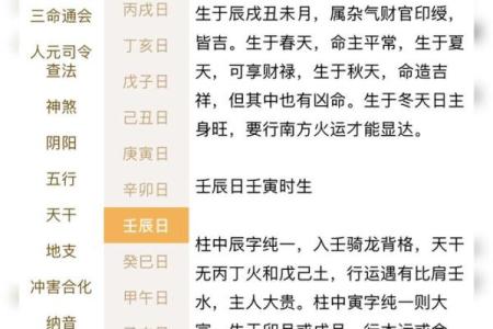壬辰日八字