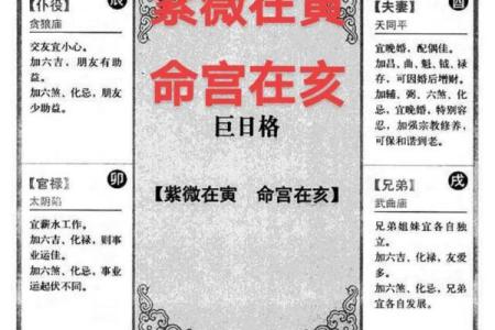 科紫薇斗数