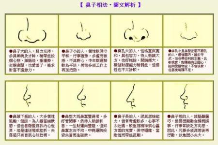 看鼻子面相算命大全