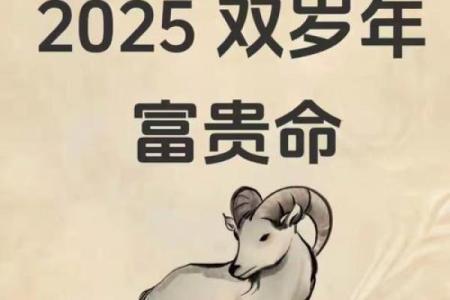 属羊.八字