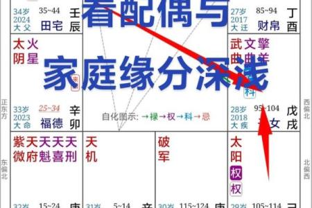 紫薇斗数看创业与否