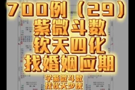 大花紫薇斗数钦天