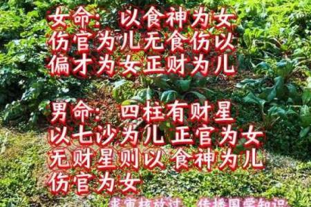 女命带凤凰的八字特点