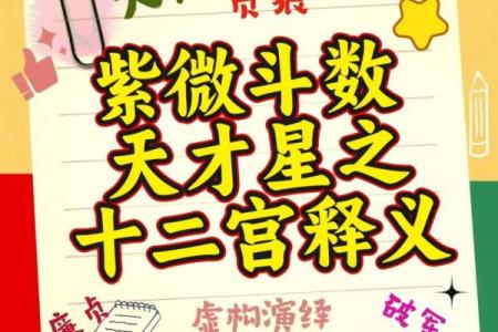 紫薇斗数之星