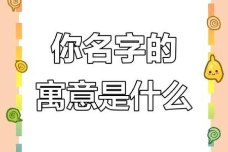 姓名免费起名打分测试