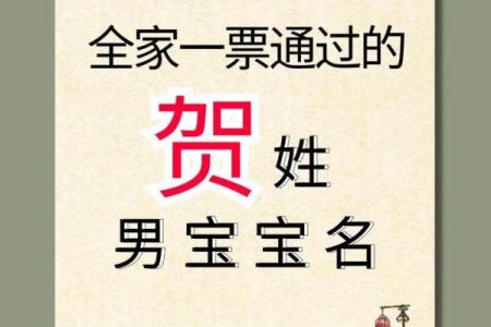贺姓女孩名字大全-贺姓女孩起名字大全-贺姓名字大全姓名