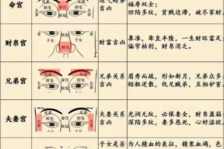怎样从姓名看人的性格-姓名学-华易算命网姓名