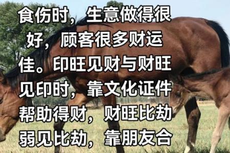 从八字看你什么时候有财运好