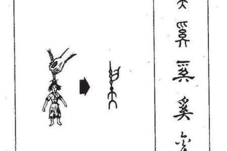 奚姓女孩名字大全-奚姓女孩起名字大全-奚姓名字大全姓名