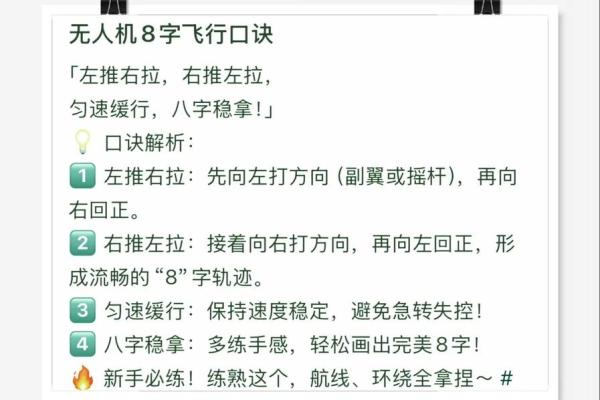 八字飞行
