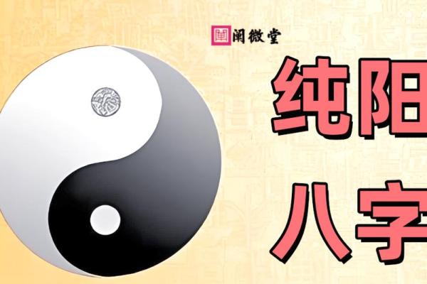 八字纯阳的男