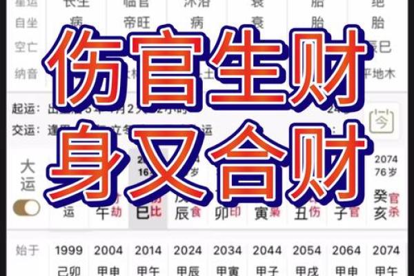 八字从财格局