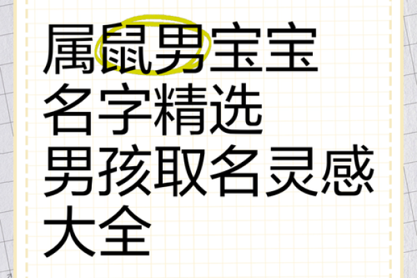 给凌晨2点出生的属鼠男孩取名字要用什么字姓名