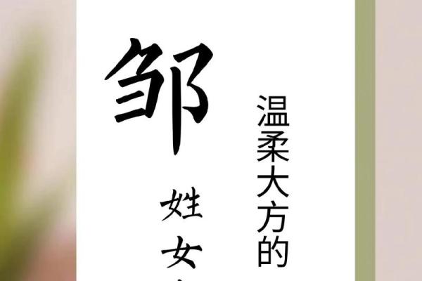 邹姓女孩名字大全-邹姓女孩起名字大全-邹姓名字大全姓名