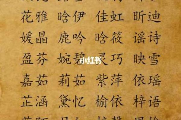 给晚上出生的属鼠男孩起名宜用什么字姓名