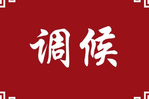 调侯八字