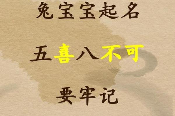 2025兔宝宝起名生辰八字
