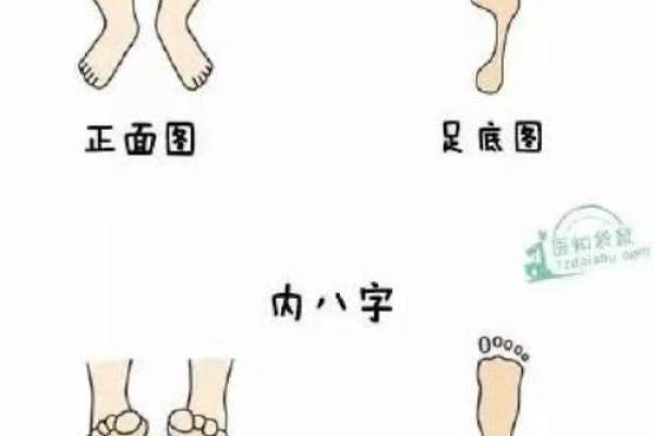 外八字轮