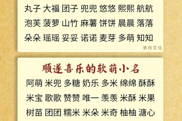 2019年5月24号子时出生的男孩起名方法姓名