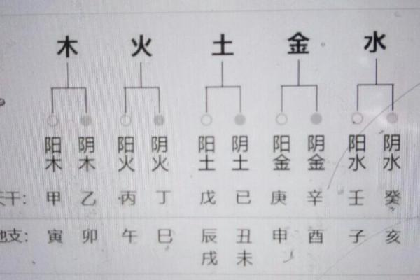 八字阴阳对照表，天干阴阳五行表