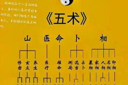 【揭秘】八字与体型关系的重要性