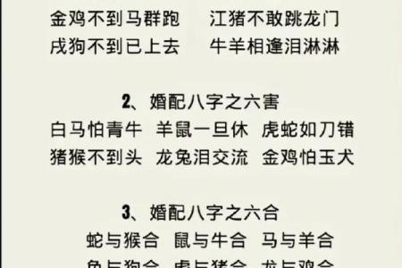 男女婚配八字