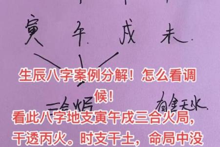 八字中的未土是什么？